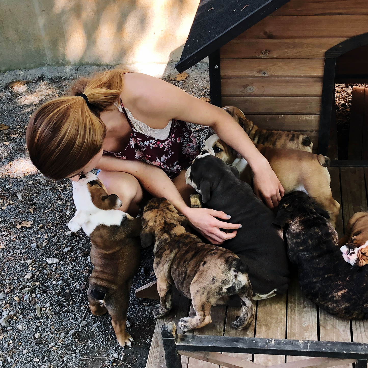 Sharing Love with Stray Animals