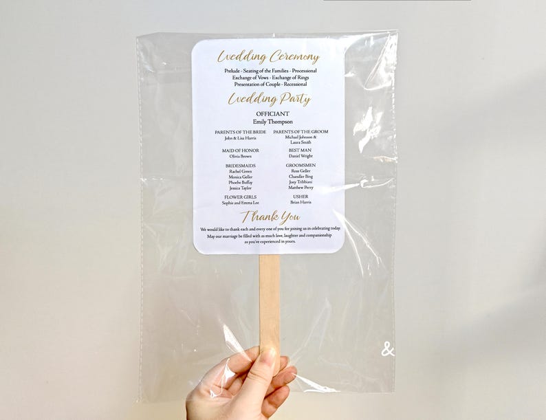 Wedding Program Fans Fully-Assembled/Sage Green Wedding Timeline Program Fan/Ceremony Wedding Fans/Fans for Ceremony/Fans for Wedding Day