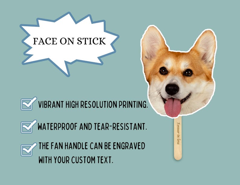 Custom Face on A Stick Party Favors/Pet Face on a Stick/Bachelorette Decorations/Groom Face Fans/Birthday/Wedding/Graduation/Baby Shower