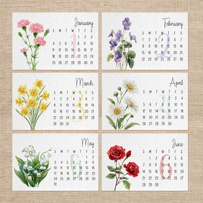 Plantable Calendar 2026, Birth Month Flowers Calendar on White Wildflower Seed Paper, Watercolor Art, Coworkers Gift, Eco-Friendly Gift